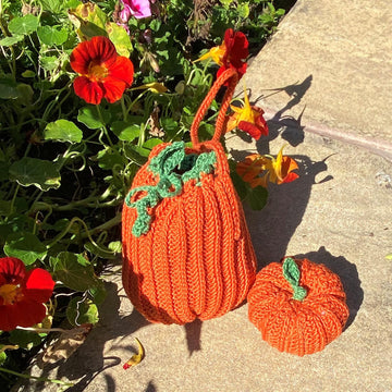 Halloween bag and Pumpkin