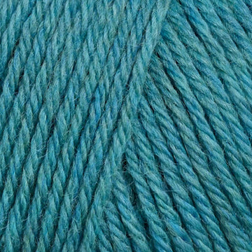 Teal (95121)