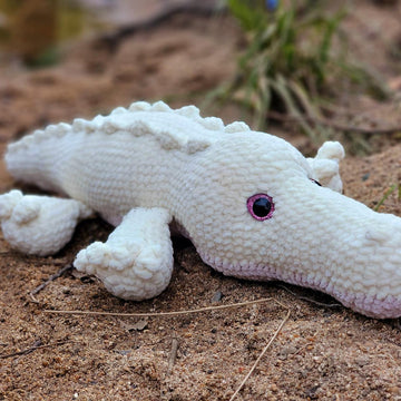 Alligator