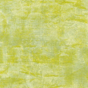 Robert Kaufman Chalk and Charcoal
