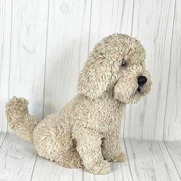Havanese Dog