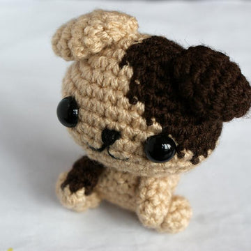 Cute Little Dog