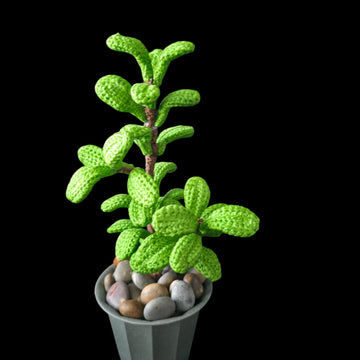 Crochet Jade plant pattern