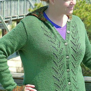 Early Autumn Cardigan