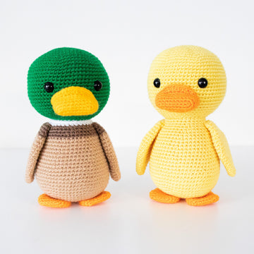 Phoenix the Lovely Duck