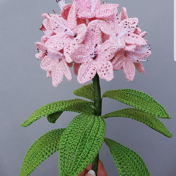 Rhododendron