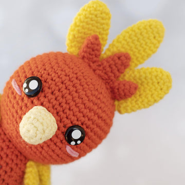 Starter Pokemon Hoenn