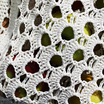 White shell