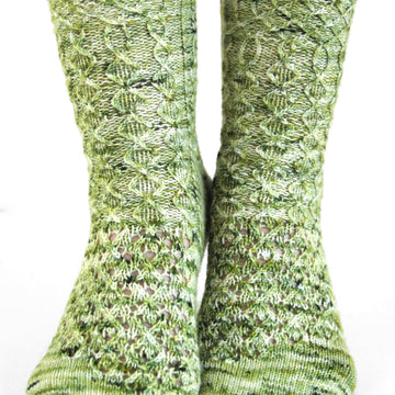 Willowbug MKAL