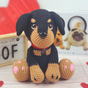 Rambo the Rottweiler
