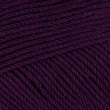 Eggplant (134)