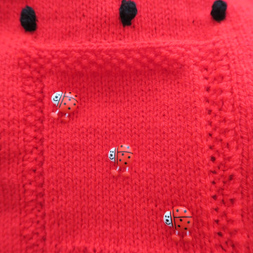 Ladybird Baby Car Seat Blanket