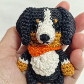 Bernese Mountain Dog