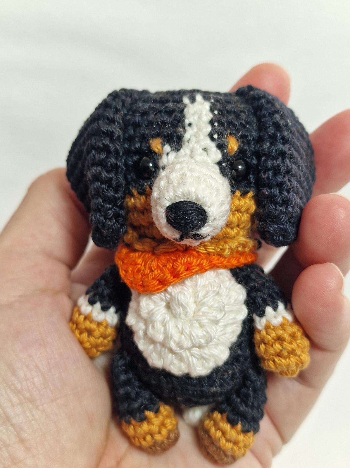 Bernese Mountain Dog