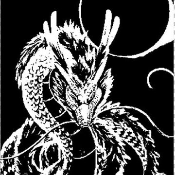 Dragon Eclipse Blanket