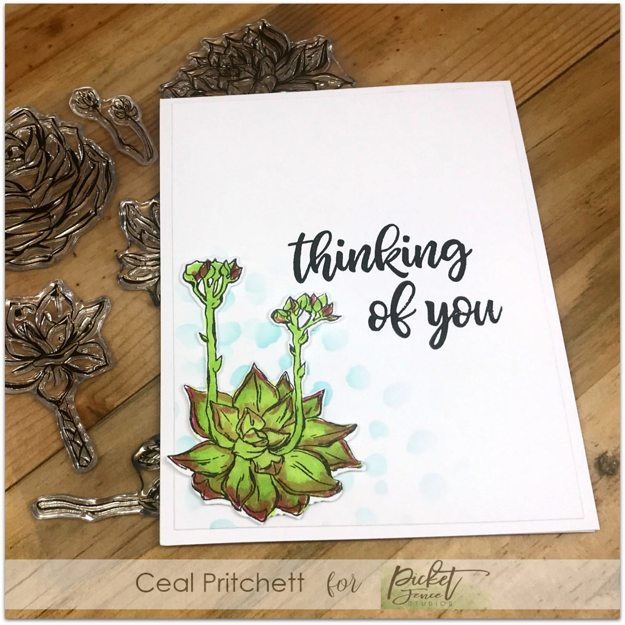 Picket Fence Studios Steel Dies - Succulent Blossoms