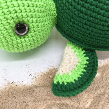 Timmy the Turtle