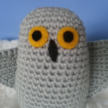 Snowy Owls