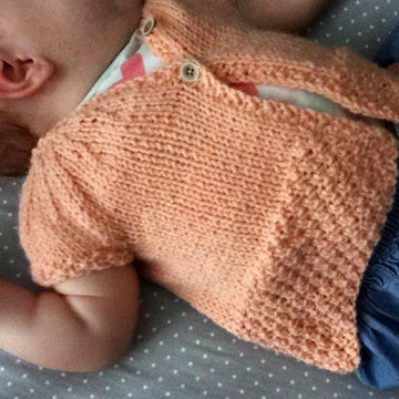 Baby Wren