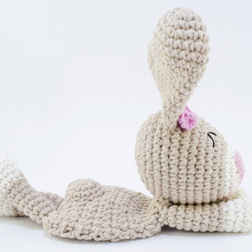 Teddy Bear and Bunny Lovey