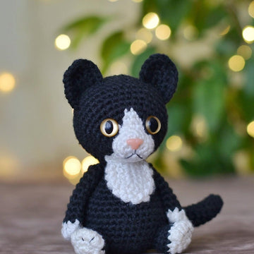 Tuxedo cat