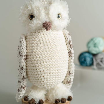 Gwenn the Snowy Owl