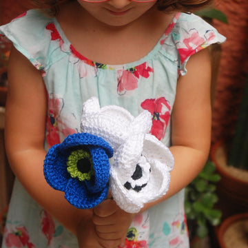 Crochet Anemone