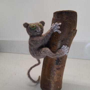 Tarsier