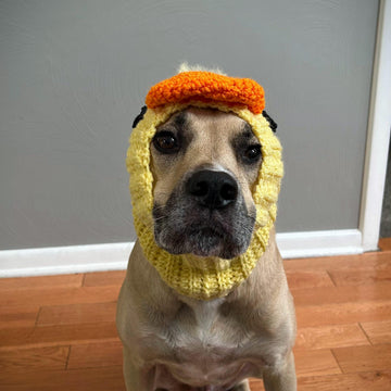 Duck Dog Snood