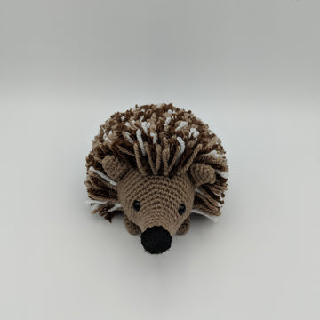 Hamish the hedgehog
