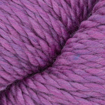 Aster (1980)