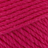 Raspberry (419)