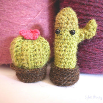 Cactus