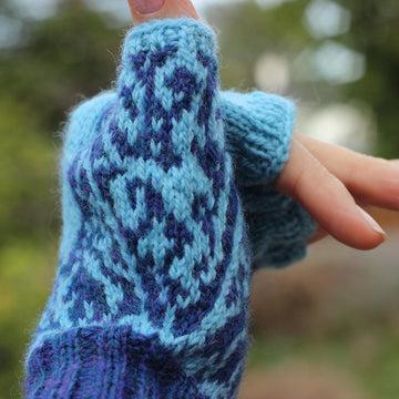 Dancing Dolphin Mitts