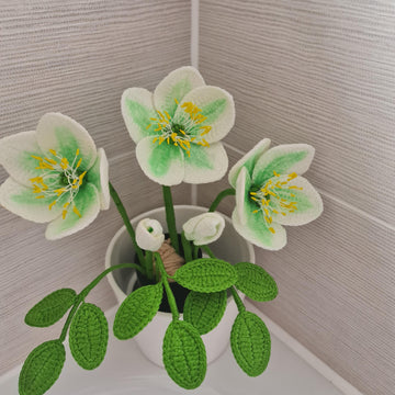 Crochet Hellebore flower