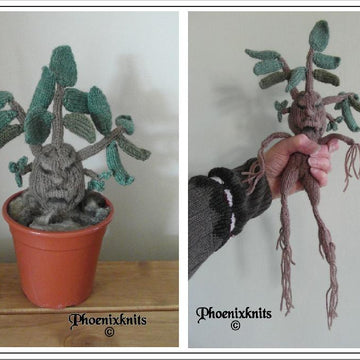 Mandrake Plant