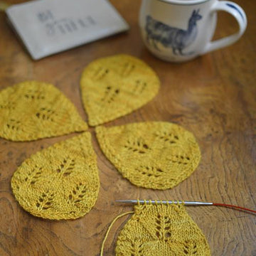 #290 Hibiscus Coasters