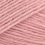 Rose Petal (1533)