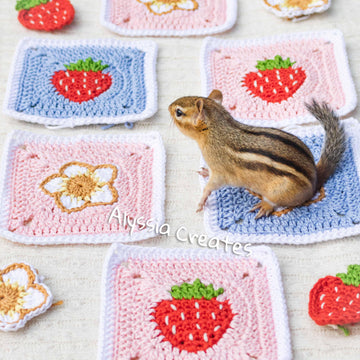 Strawberry Themed Granny Squares
