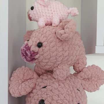 Piggy