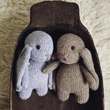 Bebe Bunny