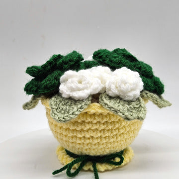 Everlasting Roses in a Pot