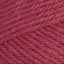Peony (33148)