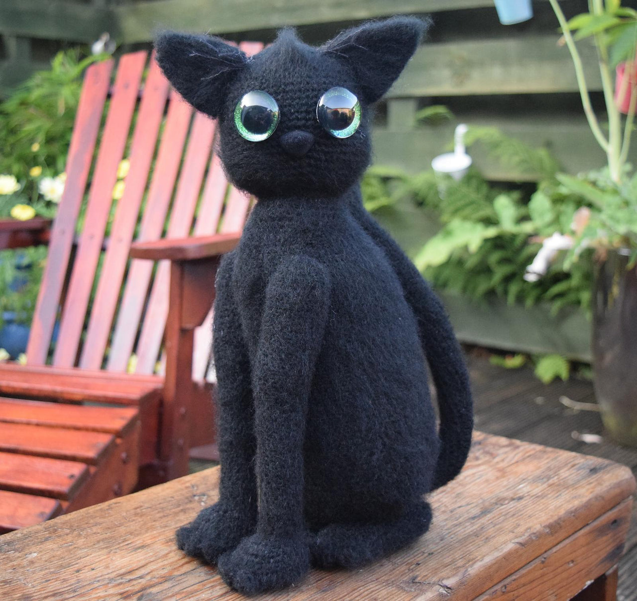 Alfie Cat
