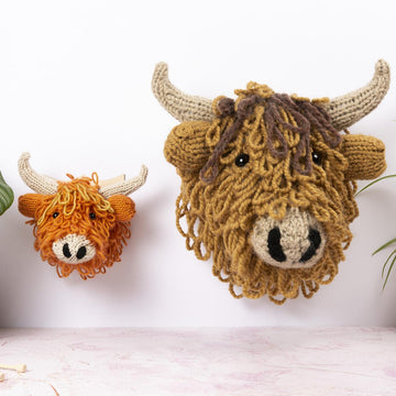 Highland Cow Head