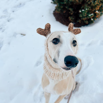 Doggo no 7 snood