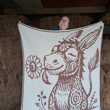 Donkey Daisy