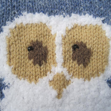 Oliver Owl - Child's Sweater