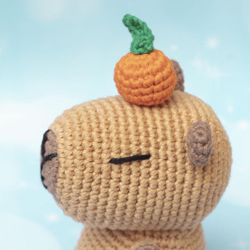 Capybara with accessories