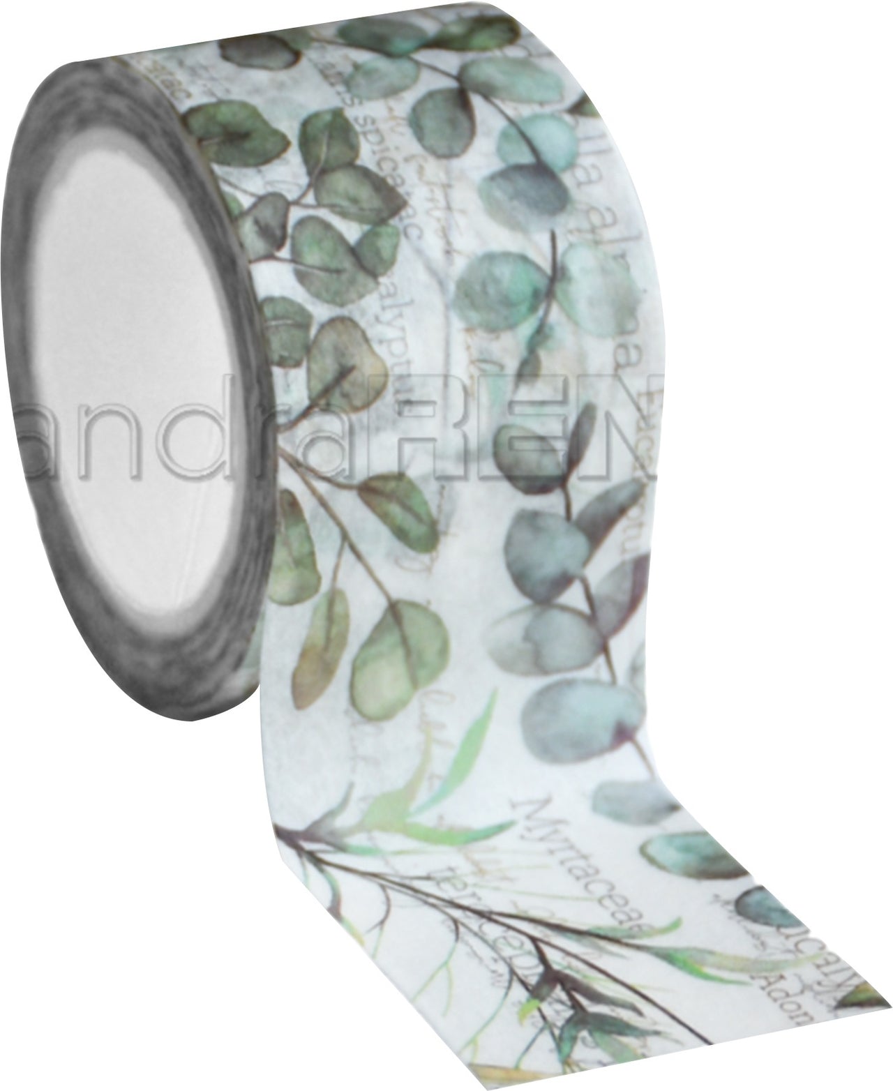 Alexandra Renke Washi Tape 30mmX10m - Eucalyptus, Spring